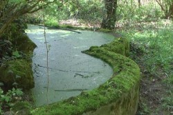 Община Ботевград поднови разговорите с Техническия университет за парковата зона – собственост на висшето училище