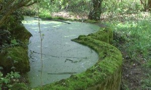 Община Ботевград поднови разговорите с Техническия университет за парковата зона – собственост на висшето училище