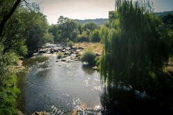 Отдават под наем заведението в местността „Скока” в Боженица