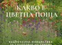 Младежки център - Ботевград стана „гореща точка“ на инициативата „Цветна поща“