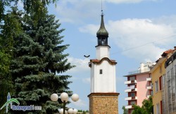 54,38% избирателна активност към 20 часа в община Ботевград