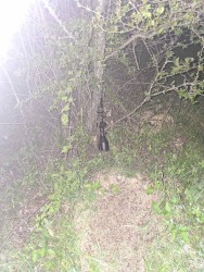 60-годишен от Правец установен да ловува в изборния ден