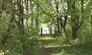 Общината и Техническия университет близо до споразумение за парка на висшето училище в Ботевград