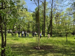 Общински съветници и ученици засадиха редки видове дръвчета в двора на гимназията