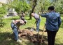 Общински съветници и ученици засадиха редки видове дръвчета в двора на гимназията