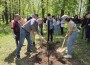 Общински съветници и ученици засадиха редки видове дръвчета в двора на гимназията