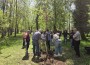 Общински съветници и ученици засадиха редки видове дръвчета в двора на гимназията