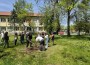 Общински съветници и ученици засадиха редки видове дръвчета в двора на гимназията
