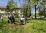 Общински съветници и ученици засадиха редки видове дръвчета в двора на гимназията