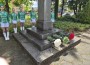 Ботевград почете 150 години от подвига на Христо Ботев и неговите четници