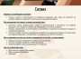 Елаците-Мед обявява 9 свободни работни позиции