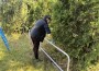 Потребители и служители от ЦНСТДМУ „Д-р Иван Цветков“ се включиха в доброволческа инициатива в Зелинския манастир