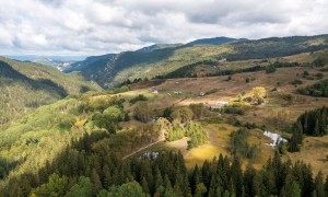 Ето как мъховете пазят крехката природа в Родопите