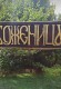 снимка