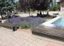 Ути Бъчваров впечатли Етрополе с гигантска етрополска баница 