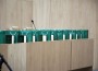 Община Ботевград отличи зрелостниците с най-високи постижения от Випуск 2026