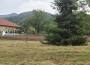 С вяра, труд и големи сърца: Доброволци преобразиха двора на зелинския манастир