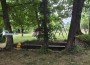 С вяра, труд и големи сърца: Доброволци преобразиха двора на зелинския манастир