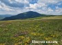 Обявиха победителите във фотоконкурса „Биоразнообразие“ след Еньовденския поход в Ржана планина