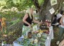 Сред багри, занаяти и вкус на киви – една вдъхновяваща среща в Боженица