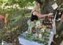 Сред багри, занаяти и вкус на киви – една вдъхновяваща среща в Боженица