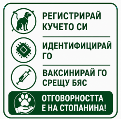 Куче от ловна порода временно изведено след проверка в Литаково