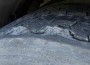 ОДМВР: 144 превозни средства проверени при полицейска акция на АМ „Тракия“