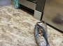 Акция на ГДБОП в Новачене: Трима задържани за лихварство, принуда и сводничество