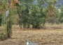 Община Ботевград пое грижата за парка на Техническия колеж – започна почистването