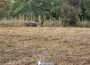 Община Ботевград пое грижата за парка на Техническия колеж – започна почистването