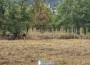 Община Ботевград пое грижата за парка на Техническия колеж – започна почистването