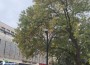 Нова визия за осветлението в центъра на Ботевград – специално проектирани лампи и архитектурно осветяване на Часовниковата кула