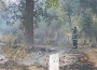 Пожар в гробищния парк в Скравена, от кметството призовават за повече внимание при паленето на свещи