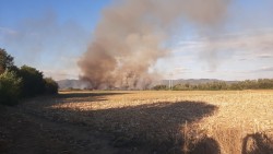 Пожар в землището на Врачеш