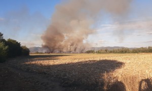 Пожар в землището на Врачеш