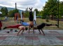 Над 500 души превърнаха #BeActive в празник на спорта, екологията и доброто в Етрополе