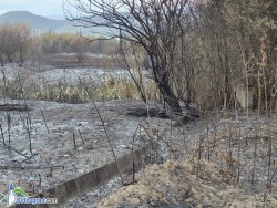 Пожарът, който обгази Ботевград, е ликвидиран. Подозират умишлен палеж