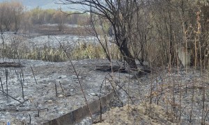 Пожарът, който обгази Ботевград, е ликвидиран. Подозират умишлен палеж