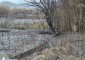 Пожарът, който обгази Ботевград, е ликвидиран. Подозират умишлен палеж