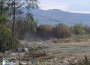 Пожарът, който обгази Ботевград, е ликвидиран. Подозират умишлен палеж
