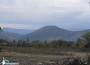 Пожарът, който обгази Ботевград, е ликвидиран. Подозират умишлен палеж