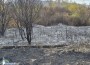 Пожарът, който обгази Ботевград, е ликвидиран. Подозират умишлен палеж