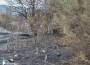 Пожарът, който обгази Ботевград, е ликвидиран. Подозират умишлен палеж