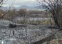 Пожарът, който обгази Ботевград, е ликвидиран. Подозират умишлен палеж