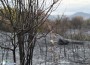 Пожарът, който обгази Ботевград, е ликвидиран. Подозират умишлен палеж