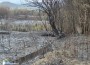 Пожарът, който обгази Ботевград, е ликвидиран. Подозират умишлен палеж