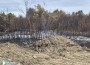 Пожарът, който обгази Ботевград, е ликвидиран. Подозират умишлен палеж
