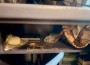 ГДБОП разследва корупционна схема за милиони при обществени поръчки във ВиК сектора, задържани са 11 души