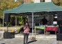 С много настроение и благородна кауза Липница и Елов дол празнуват традиционния си събор