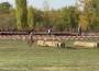 Габриела Иванова е шампионка на България по крос кънтри